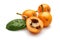 Half and whole ripe loquat fruits with leaf isolated