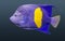 Halfmoon angelfish