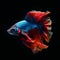 Halfmoon long fin, colorful betta fish isolated black background