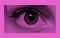 Halftone dotted eye on pink background for trendy y2k retro collage. Vector textured female sight