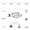 halibut icon. Detailed set of fish illustrations. Premium quality graphic design icon. One of the collection icons for websites, w