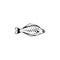 halibut icon. Fish and sea products elements.