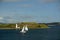 Halifax, Nova Scotia, Canada: Sailboats racing in Halifax Harbor