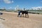 Hallandale Beach, Hollywood Florida United States of America - August 29, 2021: Gulfstream Park racetrack, race attendant brings h