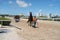 Hallandale Beach, Hollywood Florida United States of America - August 29, 2021: Gulfstream Park racetrack, Workers are removing ho