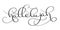 Hallelujah text on white background. Hand drawn vintage Calligraphy lettering Vector illustration EPS10