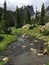 Hallet Peak rising over small stream in Rocky Mountain National Park