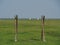 The Hallig Hooge at the north sea