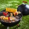 Halloumi or tofu vegetarian kebabs grilling on BBQ