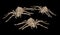 Halloween animal skeletons Scorpions Rats Bats and spider hand made by photographer from silicon moulds