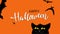 Halloween animation with bats and black smiling cat on orange background.