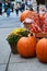 Halloween arrangement in front of the street shop in New York with orange pumpkins, physalis alkekengi or bladder cherry