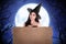 Halloween asian witch holding parchment paper