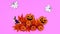 Halloween autumn decoration on pink theme appear. Stop motion
