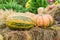 Halloween autumn decoration of pumkins, flowers and hay on street. Rural market concept