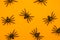 Halloween autumn holiday background with decorative black spiders against orange.