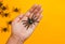 Halloween autumn holiday picture of hand with decorative black spiders against orange.