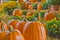 Halloween and Autumn Pumpkins