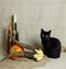 Halloween autumn still life. Pumpkin, candles in bottles, horns, black cat. Light canvas background. symbol of black m