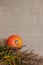 Halloween autumn still life. Pumpkin, herbs. Light canvas background.