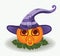 Halloween baby pumpkin with pacifier