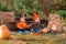 Halloween. Babys in a holidays costume sitting in kitchen-garden. Children in costumes of witch and dwarf. Pumpkins and