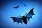 Halloween background with black bats, spider webs on blue background. Horrible background with space to copy your design