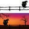 Halloween background with black cat and fence