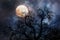 Halloween background with moon and dead tree