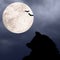 Halloween background with silhouettes of black cat, bats and full moon