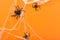 Halloween background with spider web and spiders as symbols of Halloween on the orange background. Happy Halloween concept. Frame