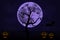 Halloween background with tree, full Moon and pumpkins in dark night isolated. Halloween moon, scary