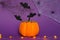 Halloween backgrounds of white, orange and gold pumpkins, spiders and black bats on a purple background with cobwebs and terrible