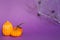 Halloween backgrounds of white, orange and gold pumpkins, spiders and dry branch on a purple background with cobwebs and terrible