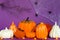 Halloween backgrounds of white, orange and gold pumpkins, spiders and dry branch on a purple background with cobwebs and terrible