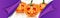 Halloween banner design with orange pumpkins with spooky scary cut out faces. Pill off purple paper effect.