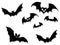 Halloween bats flying