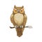 Halloween bird, owl on branch icon