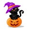 Halloween black cat in a witch hat sitting on halloween pumpkin