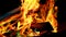 halloween bonfire. magical colorful flame. fiery wallpaper. Variegated flames and colorful sparks.Fire and flames