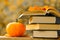 Halloween Books.Back to school.Autumn reading. Books and pumpkins set in autumn garden with the rays of the sun.Start
