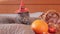 Halloween british cat with an orange witch\\\'s hat. Halloween party