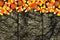 Halloween candy border against a wood and black cloth background