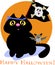 Halloween Cat with Pirate Skull Flag and Bat