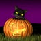 Halloween Cat with Pumpkin