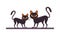 Halloween cats black animals icons