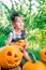 Halloween. Child dressed in black with jack-o-lantern in hand, trick or treat. Little girl pumpkin in the wood, outdoors.