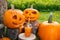 Halloween cocktail near pumpkins decoration on background. Punch for a party. Jack-o-Lantern is drinking .