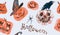 Halloween colorfull pattern design, pumpkin, witch hats, spider, crow. Hand painted watercolor on soft gray