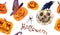 Halloween colorfull pattern design, pumpkin, witch hats, spider, crow. Hand painted watercolor on white